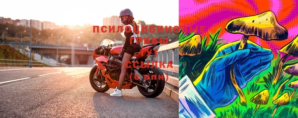 jwh Богородицк