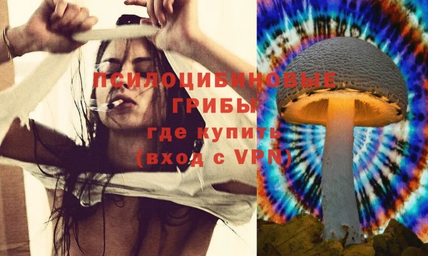 jwh Богородицк