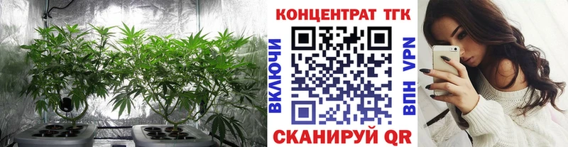 ТГК Wax  Котельники 
